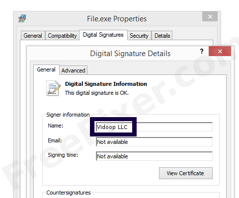 Screenshot of the Vidoop LLC certificate